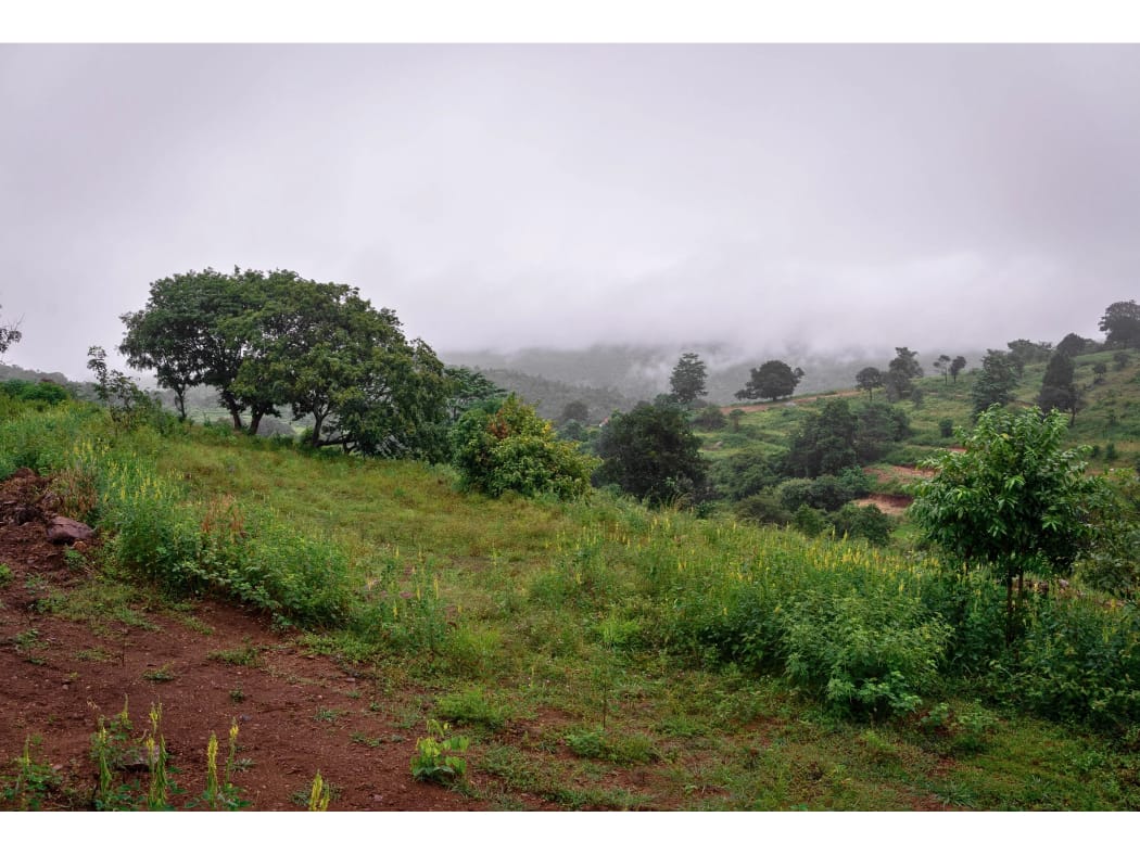 Farm Land Near Bangalore